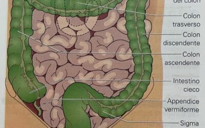 DOLORI OSTEOARTICOLARI E MALATTIE INFIAMMATORIE IBD