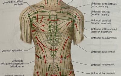 IL DRENAGGIO LINFATICO (DLM):