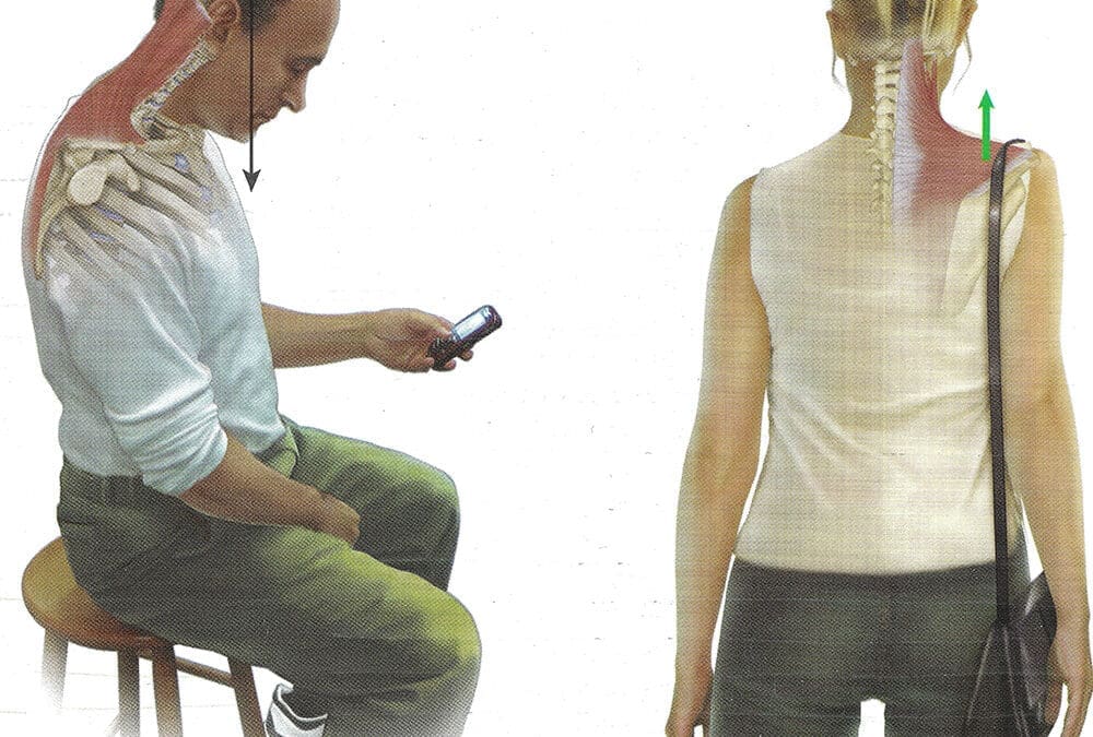 POSTURE SCORRETTE (IL COLLO)